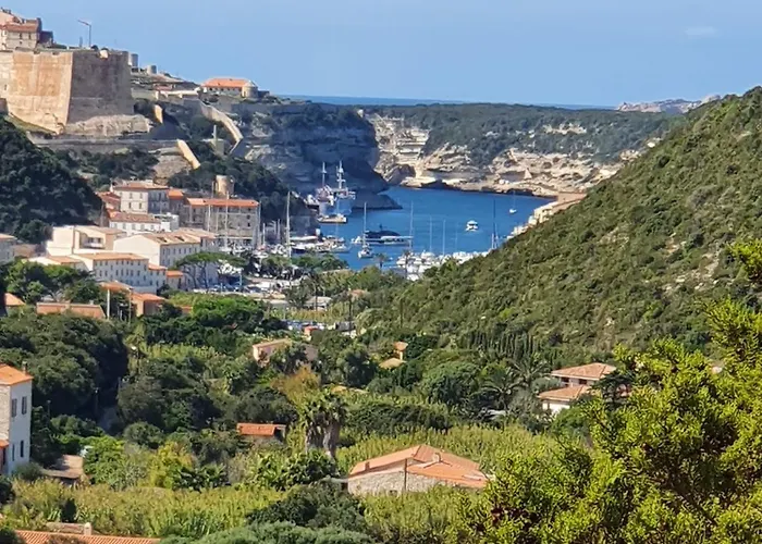 Bed & Breakfast Petra Bianca &