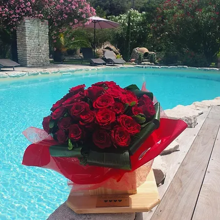 Bed & Breakfast Petra Bianca & A 10mn A Pied Du Port De Bonifacio *