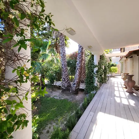 Petra-bianca Bed & Breakfast