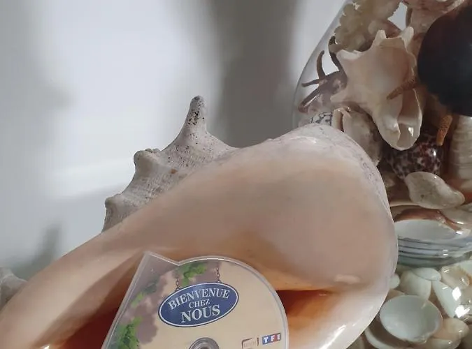 Bed & Breakfast Petra Bianca &